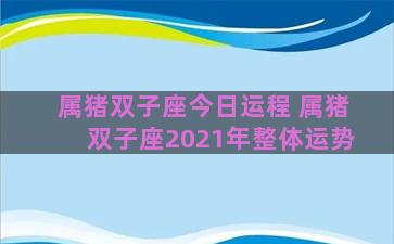 属猪双子座今日运程 属猪双子座2021年整体运势